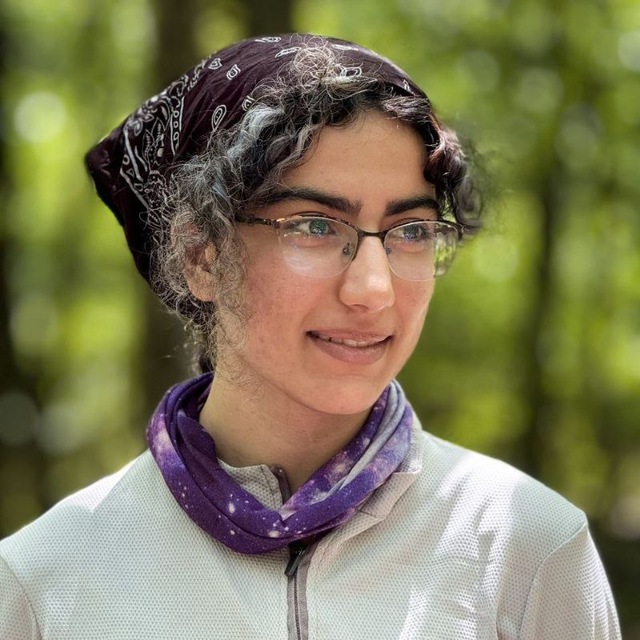 Diba Hadi Esfangereh